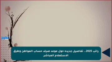 راتب 2025.. تفاصيل جديدة حول موعد صرف حساب المواطن وطرق الاستعلام المباشر